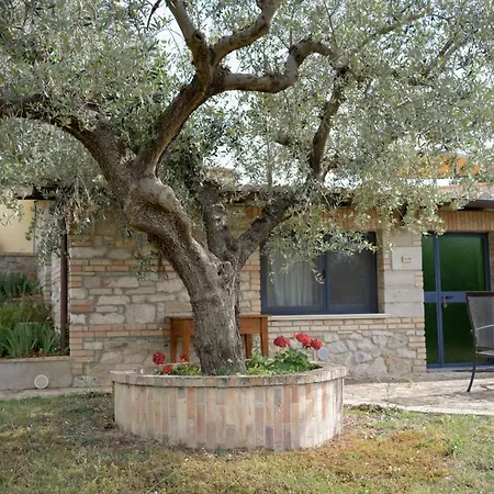 La Fattoria Di Maria Donata Farm stay *