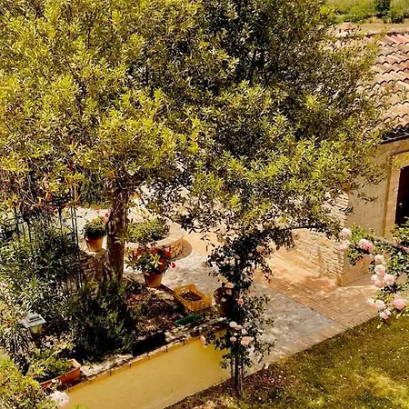 La Fattoria Di Maria Donata