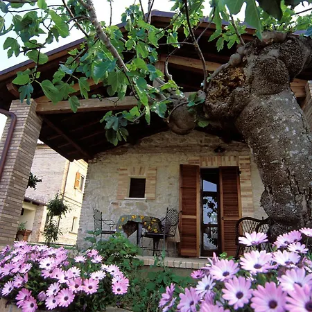 La Fattoria Di Maria Donata Gospodarstwo agroturystyczne