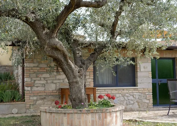 La Fattoria Di Maria Donata Κατάλυμα σε φάρμα *